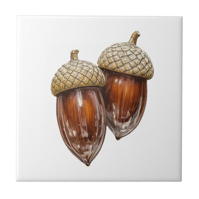 Glassy Acorns  Ceramic Tile (Front)