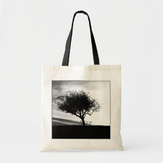 Glastonbury Hawthorn. Tree. Black and White. Tote Bag