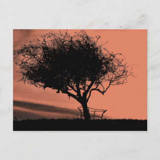 Glastonbury Hawthorn. Tree on Hill. Orange Black. Postcard