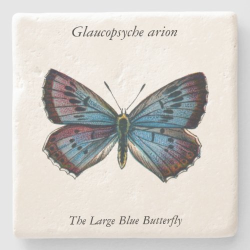 Glaucopsyche arion _ The Large Blue Butterfly Stone Coaster