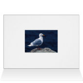 Glaucous Gull Cards (Inside Horizontal (Top))