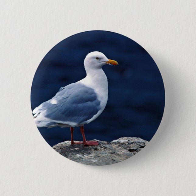 Glaucous Gull Pinback Button (Front)
