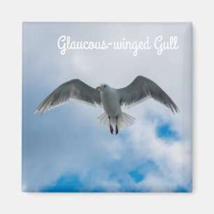 Glaucous-winged Gull Magnet