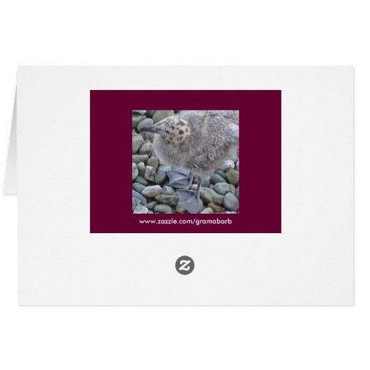 Glaucous-winged Gulls Card (Back Horizontal)