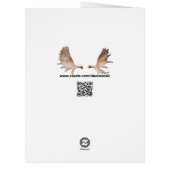 Gleðileg jól - Aurora Borealis (Back)