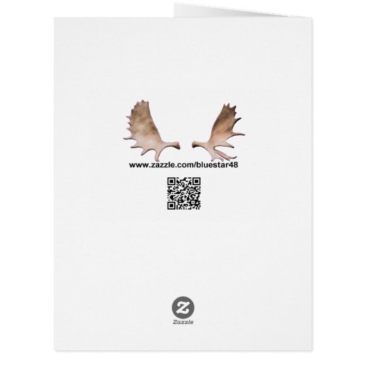 Gleðileg jól - Aurora Borealis (Back)