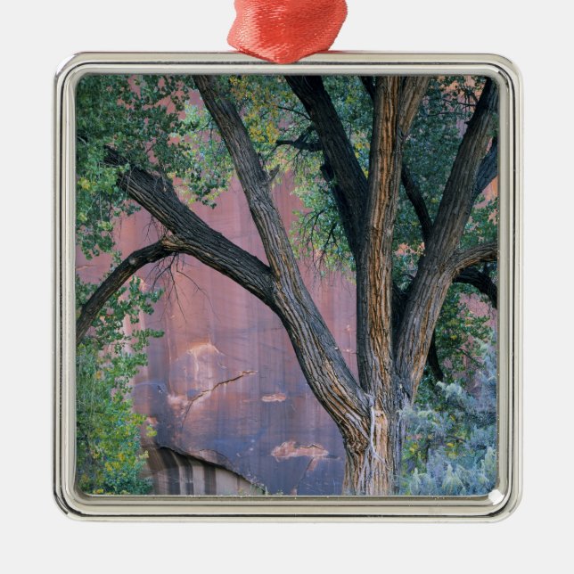 Glen Canyon National Recreation Area, Utah. USA. Metal Ornament (Front)