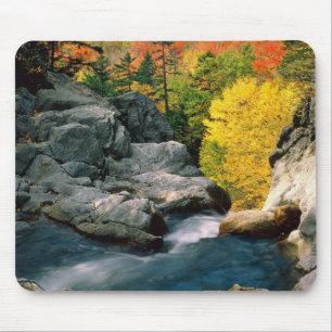 Glen Ellis Falls Mouse Pad