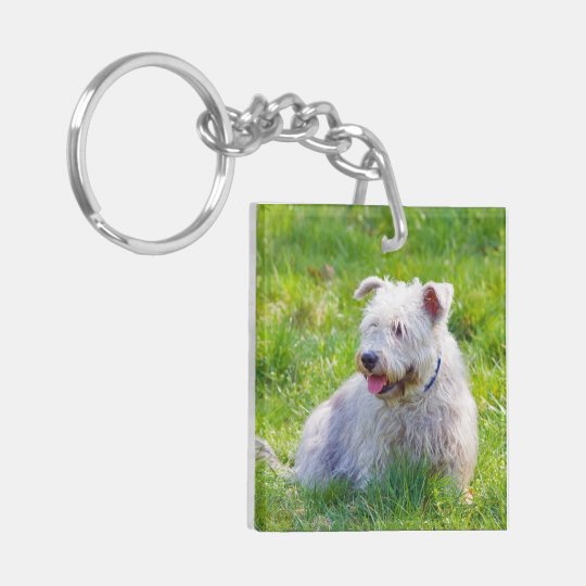 Glen of Imaal Terrier dog beautiful photo, gift Keychain