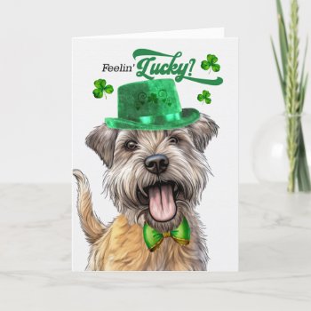 Glen Of Imaal Terrier Dog Lucky St Patrick's Day Holiday Card by PAWSitivelyPETs at Zazzle