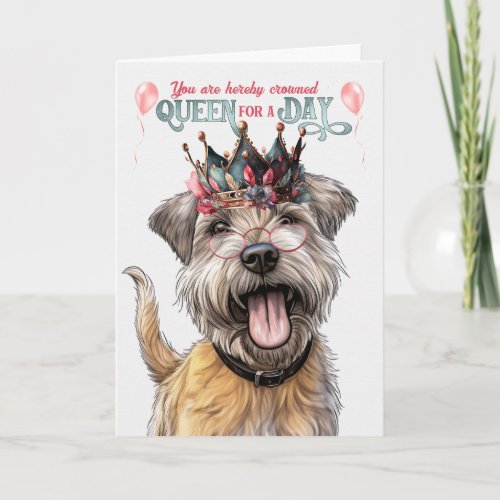 Glen of Imaal Terrier Dog Queen Funny Birthday Card