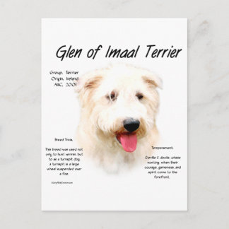 Glen of Imaal Terrier History Design Postcard