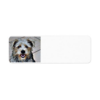 Glen Of Imaal Terrier Label by Iggys_World at Zazzle