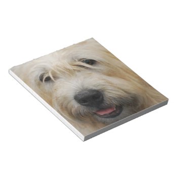 Glen Of Imaal Terrier Notepad by DogPoundGifts at Zazzle