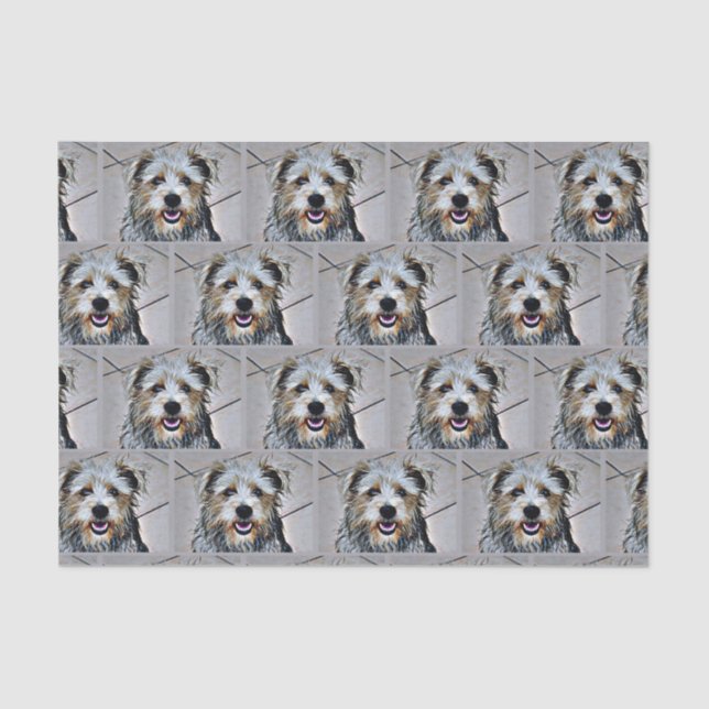 Glen of Imaal Terrier Tissue Paper (Front)