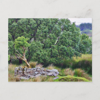 Glengesh Pass In Ireland Landscape Postcard