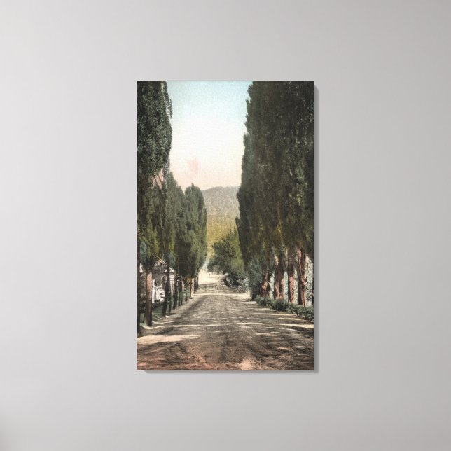 Glenwood Springs, Colorado Canvas Print (Front)