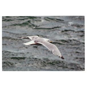 Glide 36 x 24 Metal Wall Art
