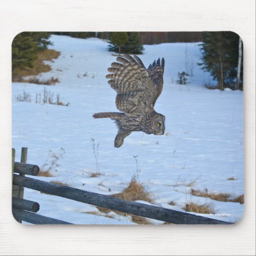 Gliding Great Gray Owl and Snow Wildlife Raptor Mouse Pad