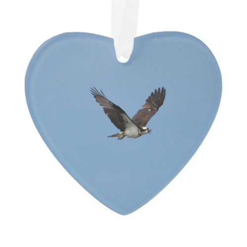 Gliding Osprey Ornament