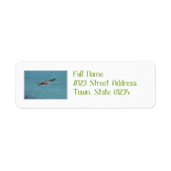 Gliding Pelican Label by WildlifeAnimals at Zazzle