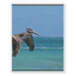 Gliding Pelican Temporary Tattoos