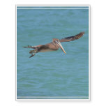 Gliding Pelican Temporary Tattoos