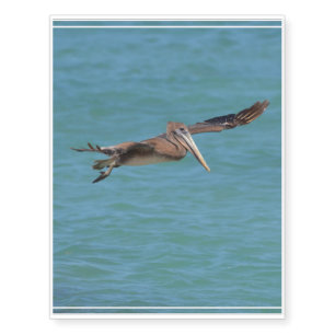 Gliding Pelican Temporary Tattoos