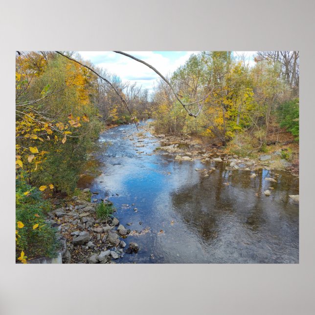 Gliding Reflections Poster (Front)