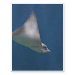 Gliding Stingray Temporary Tattoos