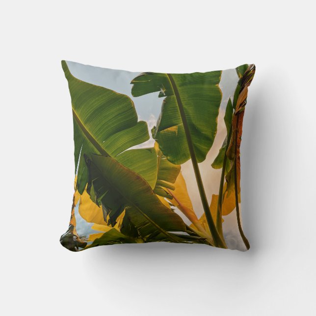 Glimpse of Maldives Throw Pillow (Front)