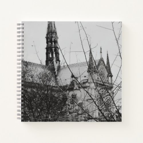 Glimpse Of Notre Dame  Notebook
