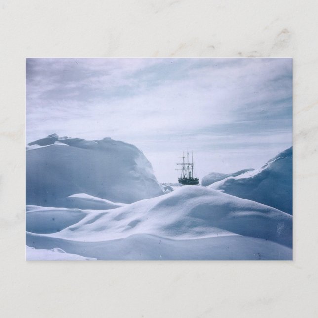 Glimpse of the Ship Endurance Antarctica Postcard (Front)