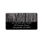 Glistening Icy Forest in Morning Light I Label