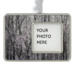 Glistening Icy Forest in Morning Light II Christmas Ornament