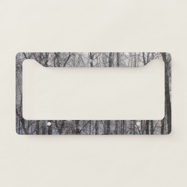 Glistening Icy Forest in Morning Light II License Plate Frame (Front)