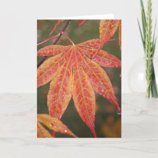 Glistening Leaves Card