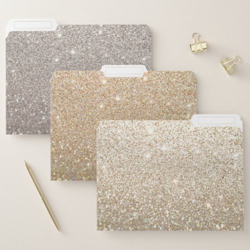 Glitter and Glamour Gold and Silver File Folder