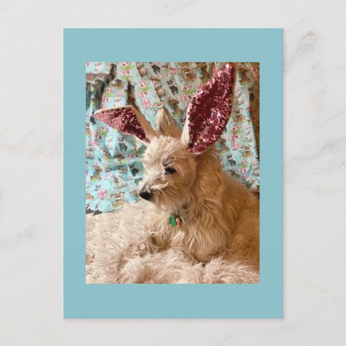 Glitter Bling Bunny Westie Postcard