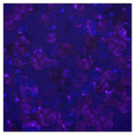 Glitter bokeh sparkle print fabric