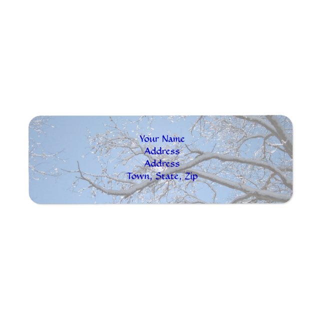 Glittering Ice and Snow Covered Trees Label (Front)