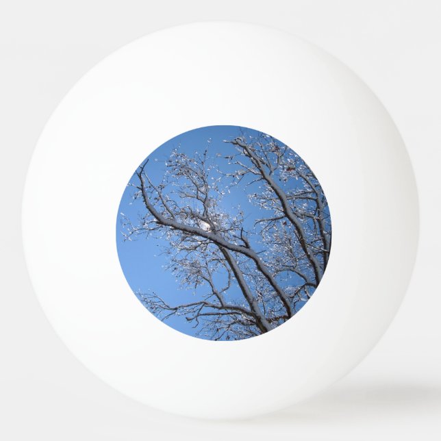 Glittering Ice Snow Covered Trees Ping-Pong Ball (Front)