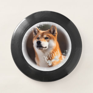 Glittering Pet Dog  Wham-O Frisbee