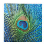 Glittery Blue Peacock Feather Still Life Ceramic Tile at Zazzle