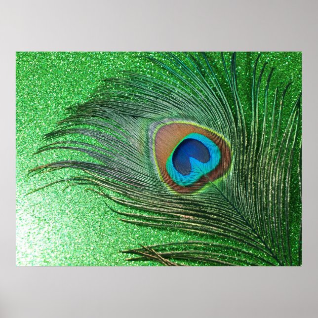 Glittery Green Peacock Feather Still Life Poster (Front)