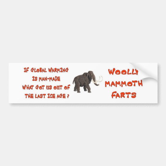 GLOBAL WARMING HOAX BUMPER STICKER | Zazzle