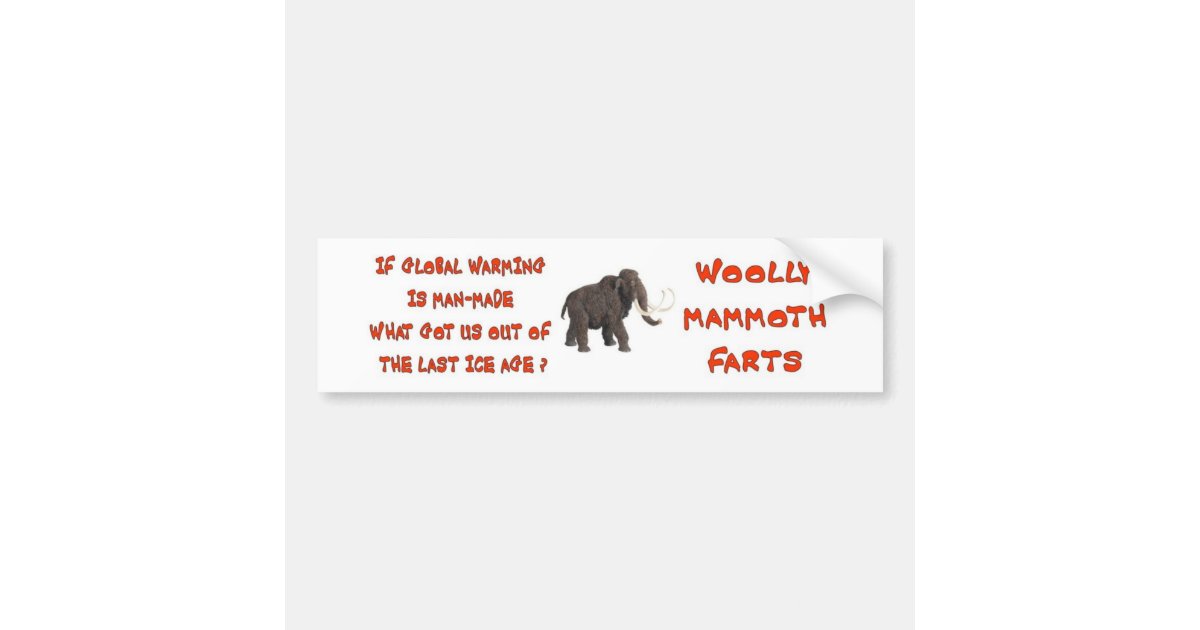 GLOBAL WARMING HOAX BUMPER STICKER | Zazzle