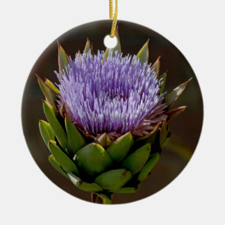 Globe Artichoke, Cynara Cardunculus, in flower. Ceramic Ornament