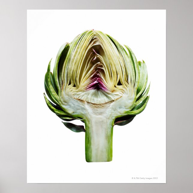 Globe artichoke half cut out poster (Front)