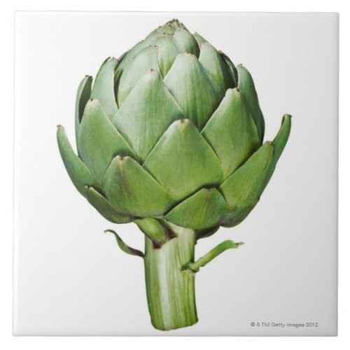 Globe Artichoke on White Background Cut Out Ceramic Tile